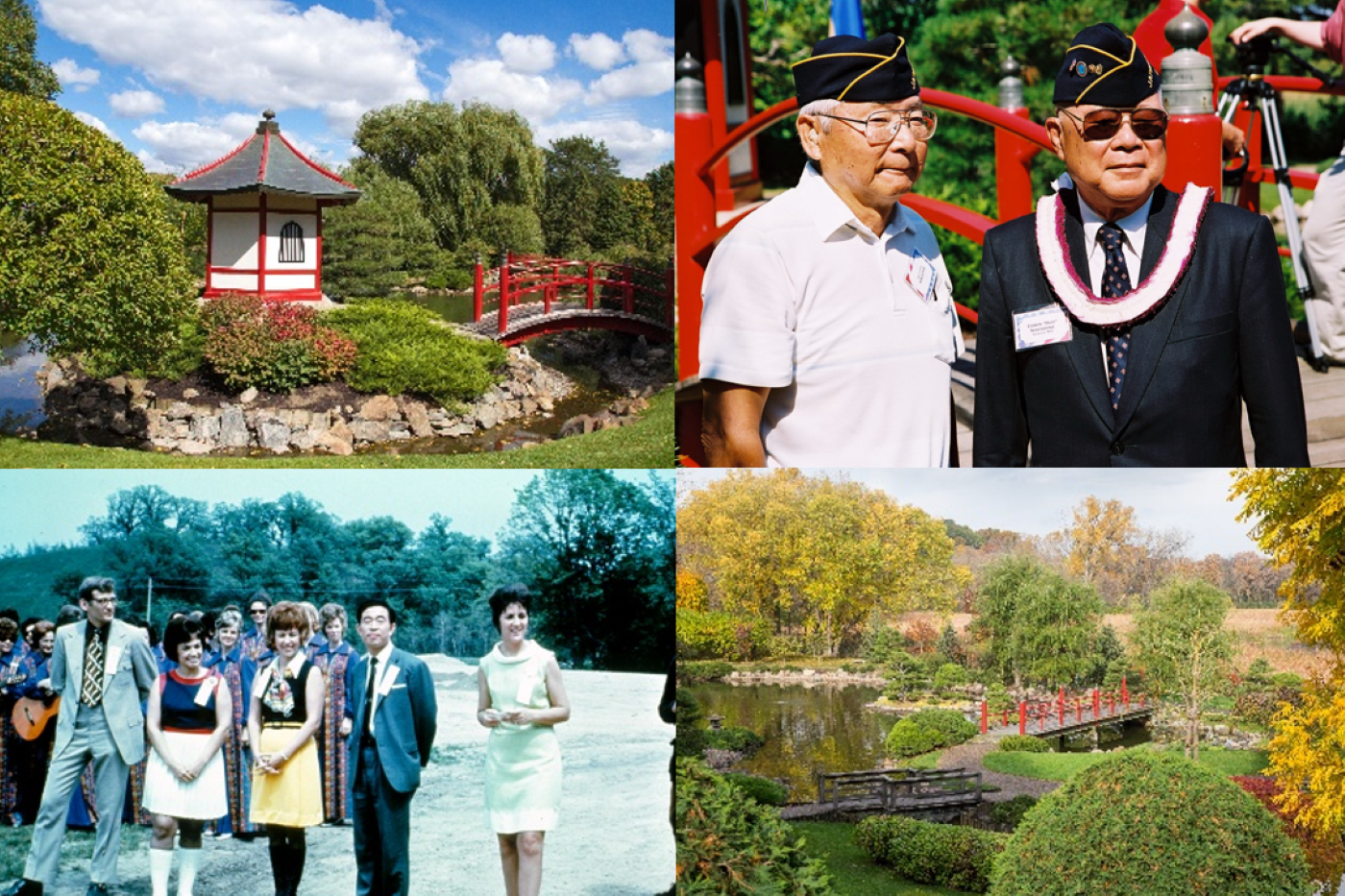 Collection of Japanese Garden Photos